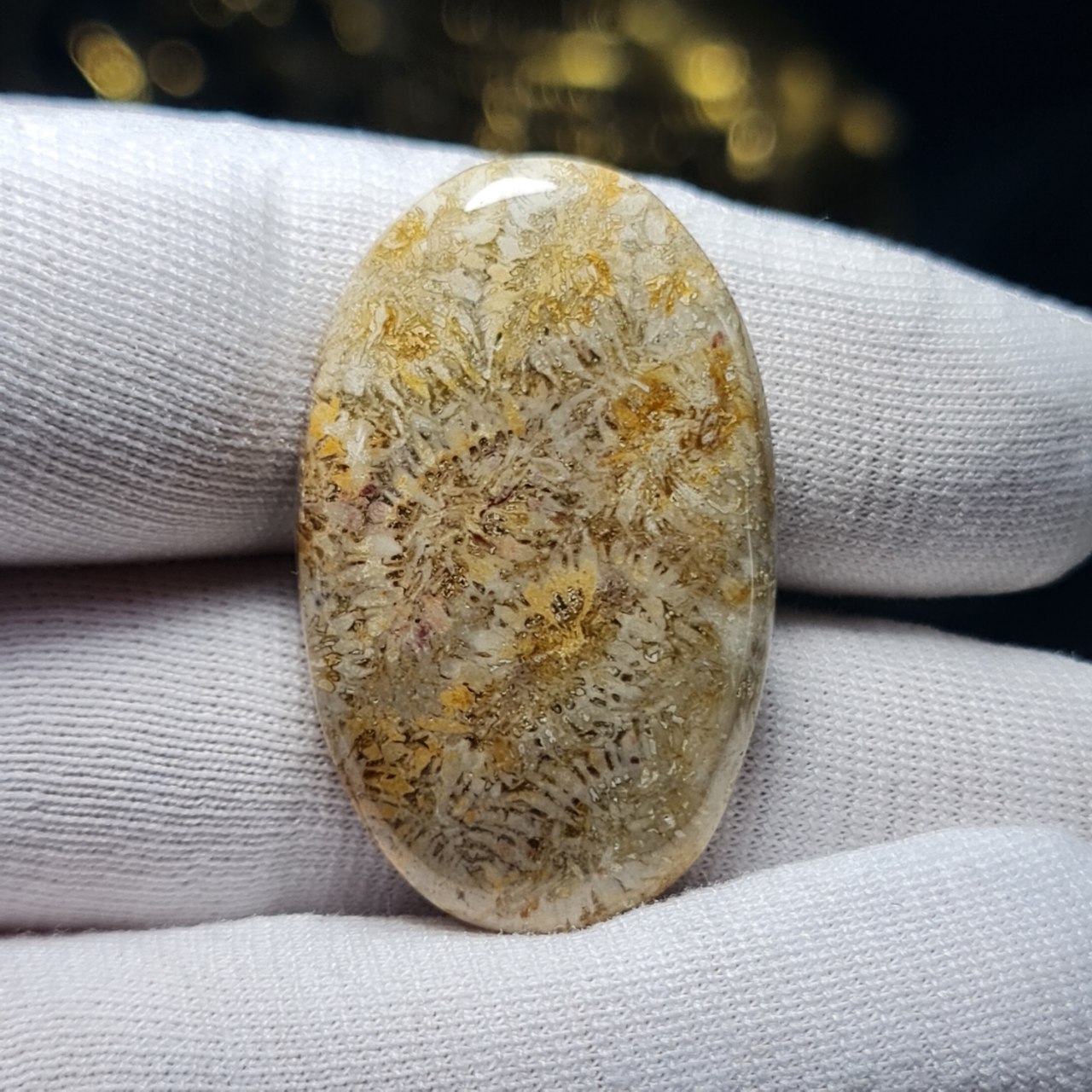 نگین درشت سنگ طبیعی فسیل مرجان معدنی   کد  T2473