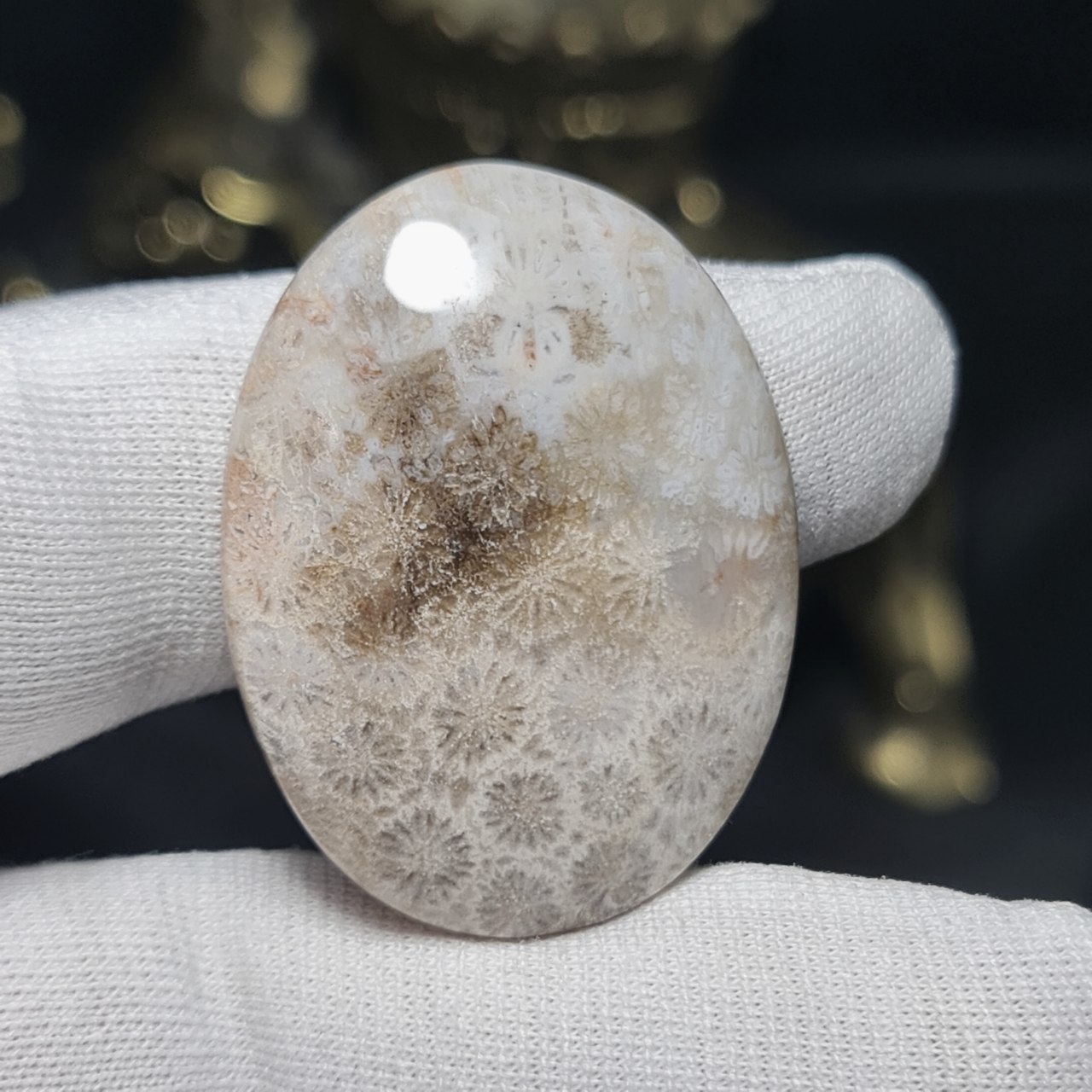 نگین درشت سنگ طبیعی فسیل مرجان معدنی   کد  T2484
